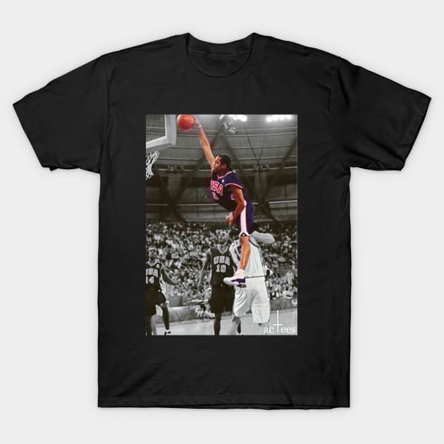 Vinsanity T-Shirt by acTees